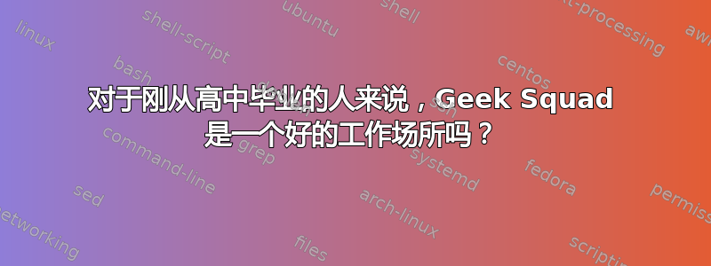 对于刚从高中毕业的人来说，Geek Squad 是一个好的工作场所吗？