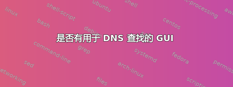 是否有用于 DNS 查找的 GUI