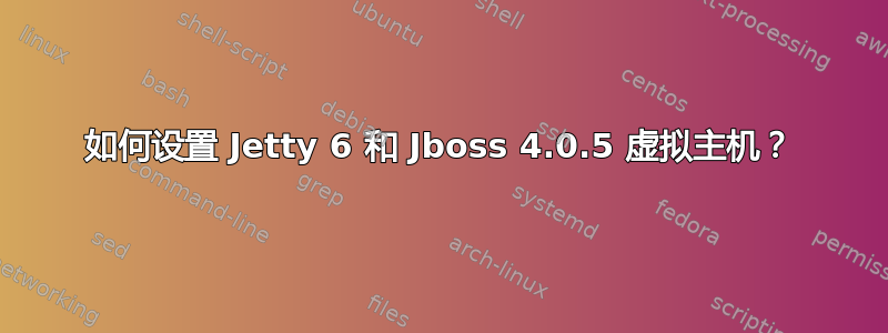 如何设置 Jetty 6 和 Jboss 4.0.5 虚拟主机？