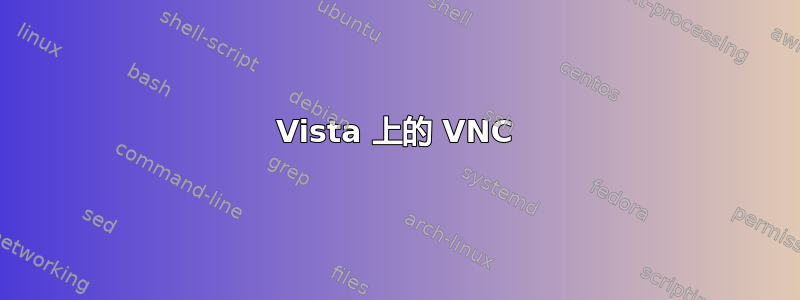 Vista 上的 VNC