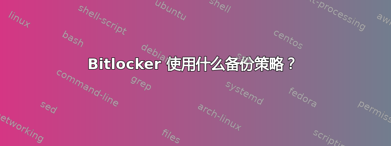 Bitlocker 使用什么备份策略？