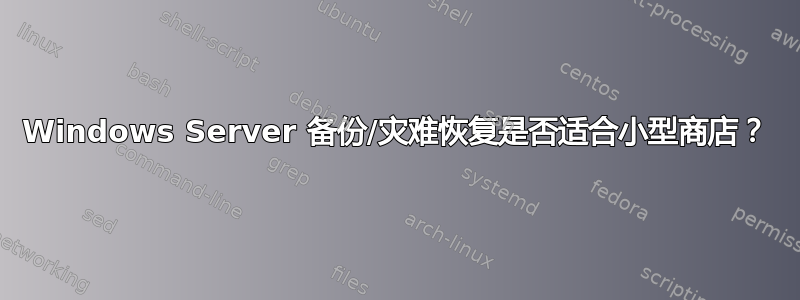 Windows Server 备份/灾难恢复是否适合小型商店？