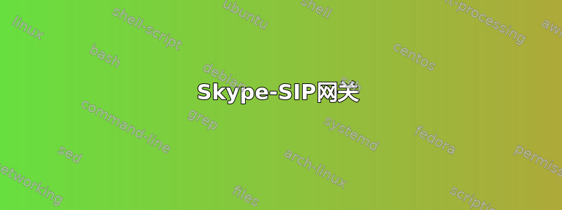 Skype-SIP网关