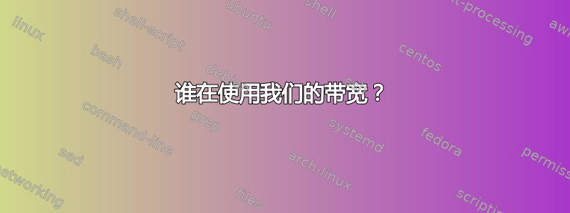 谁在使用我们的带宽？