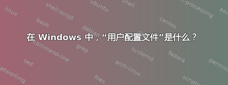 在 Windows 中，“用户配置文件”是什么？