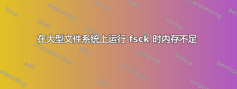 在大型文件系统上运行 fsck 时内存不足