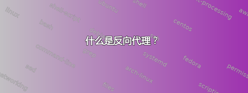 什么是反向代理？