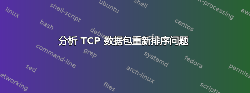 分析 TCP 数据包重新排序问题