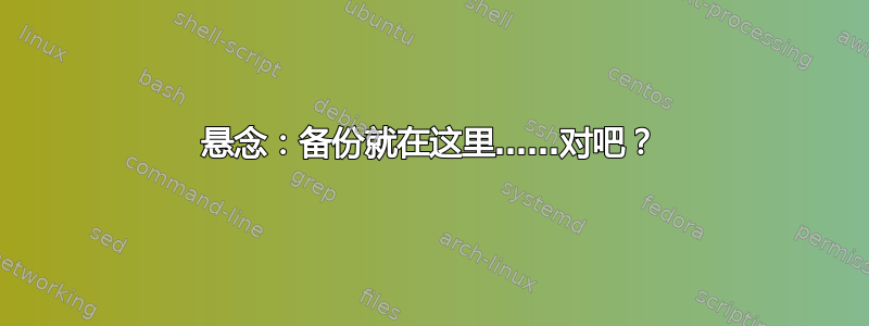 悬念：备份就在这里……对吧？