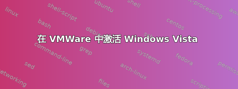 在 VMWare 中激活 Windows Vista