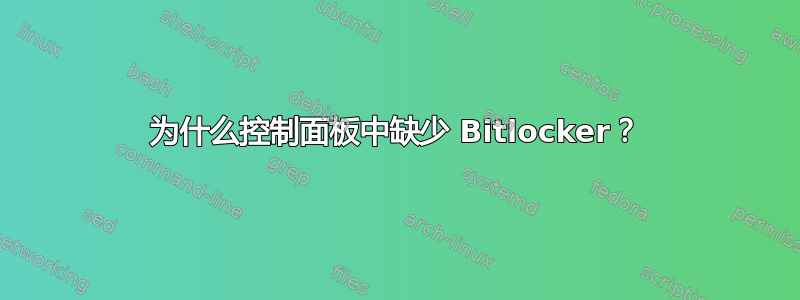 为什么控制面板中缺少 Bitlocker？