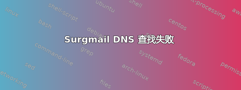 Surgmail DNS 查找失败