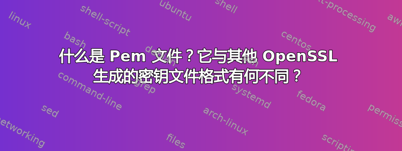 什么是 Pem 文件？它与其他 OpenSSL 生成的密钥文件格式有何不同？