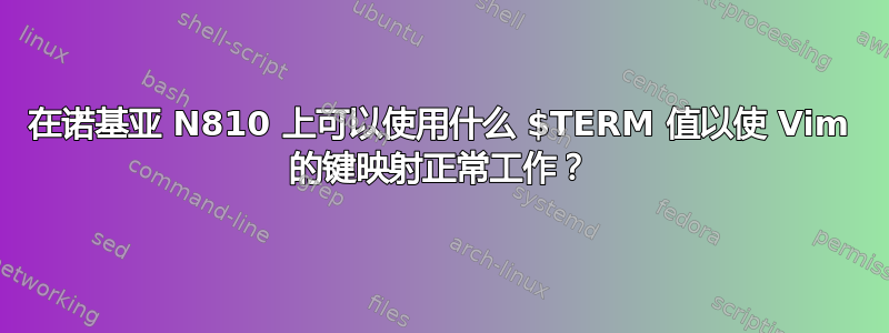 在诺基亚 N810 上可以使用什么 $TERM 值以使 Vim 的键映射正常工作？