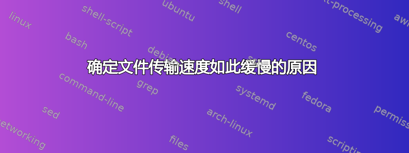 确定文件传输速度如此缓慢的原因