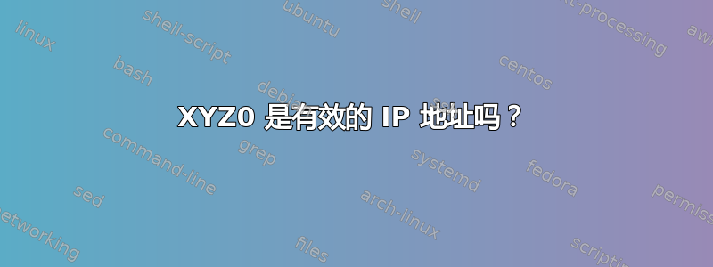 XYZ0 是有效的 IP 地址吗？