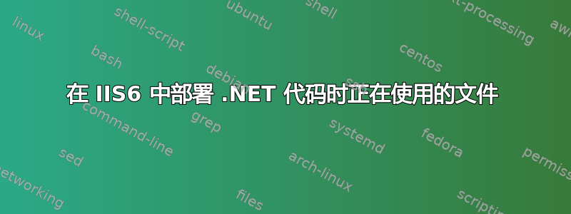 在 IIS6 中部署 .NET 代码时正在使用的文件