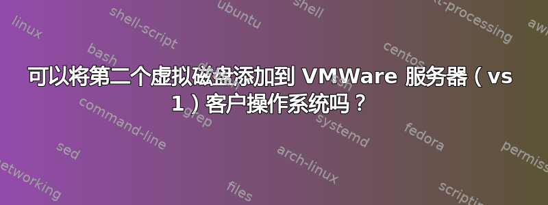 可以将第二个虚拟磁盘添加到 VMWare 服务器（vs 1）客户操作系统吗？