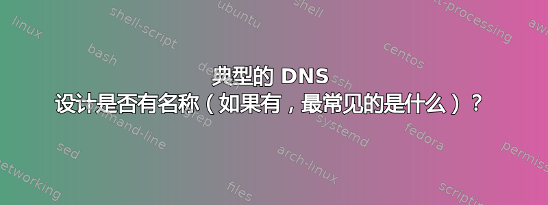 典型的 DNS 设计是否有名称（如果有，最常见的是什么）？