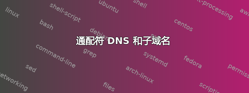 通配符 DNS 和子域名