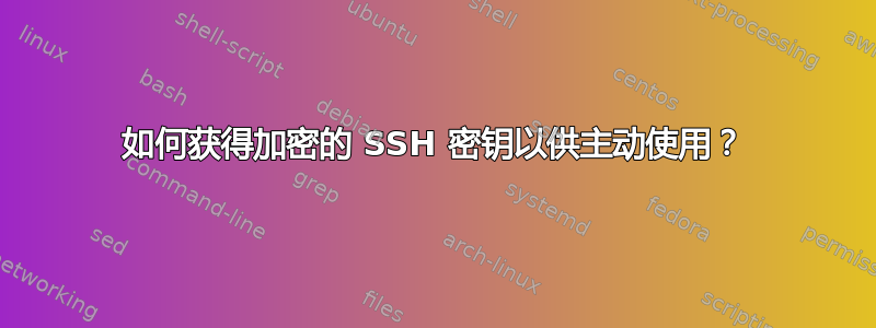 如何获得加密的 SSH 密钥以供主动使用？