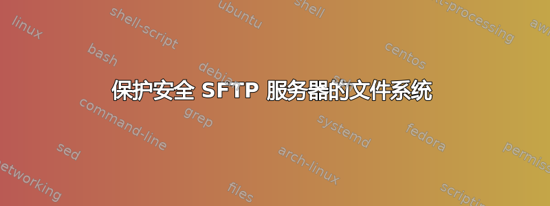 保护安全 SFTP 服务器的文件系统