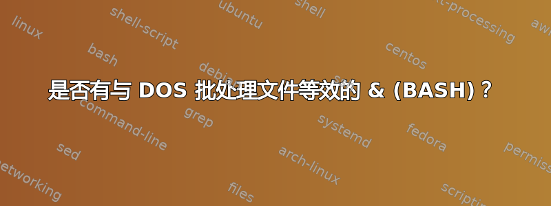 是否有与 DOS 批处理文件等效的 & (BASH)？