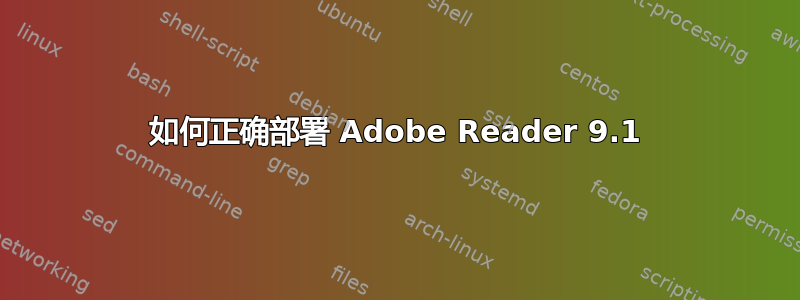 如何正确部署 Adob​​e Reader 9.1