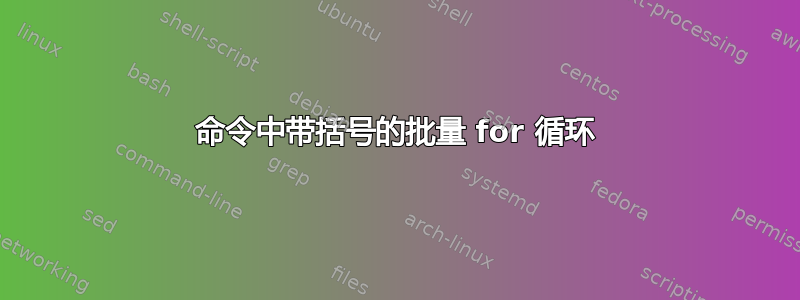 命令中带括号的批量 for 循环