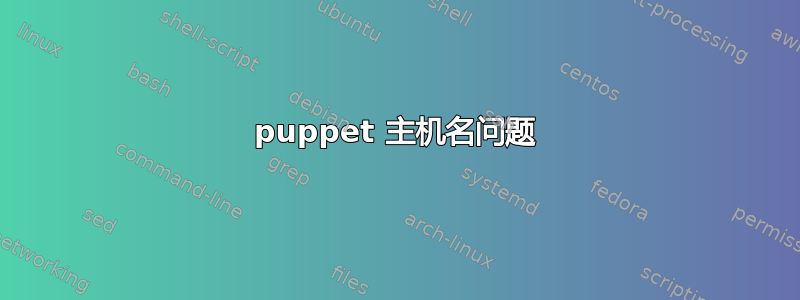 puppet 主机名问题