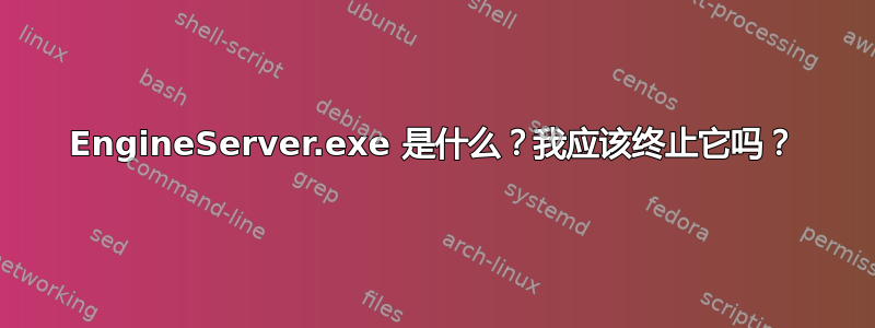 EngineServer.exe 是什么？我应该终止它吗？