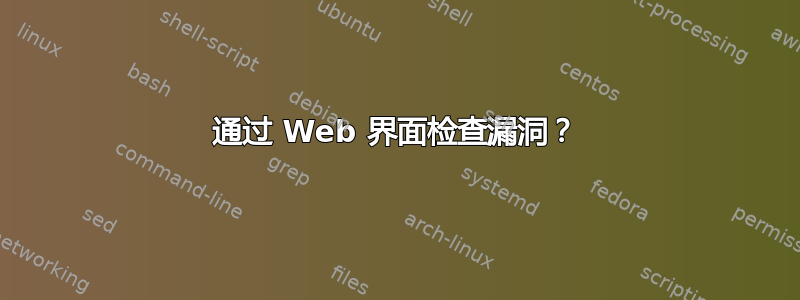 通过 Web 界面检查漏洞？