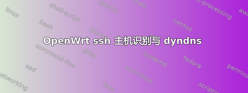 OpenWrt ssh 主机识别与 dyndns