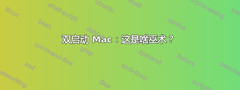 双启动 Mac：这是啥巫术？