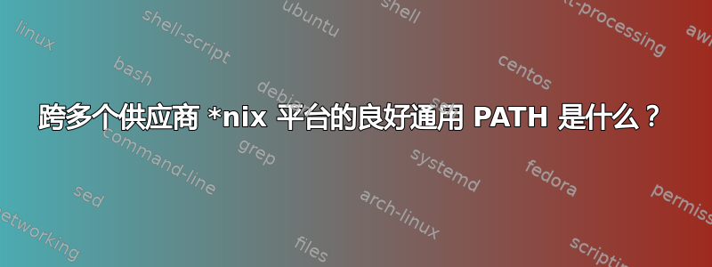 跨多个供应商 *nix 平台的良好通用 PATH 是什么？