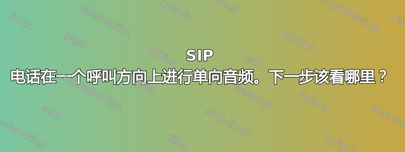 SIP 电话在一个呼叫方向上进行单向音频。下一步该看哪里？