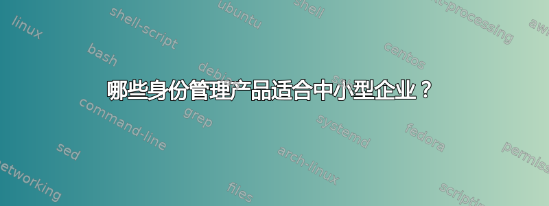 哪些身份管理产品适合中小型企业？