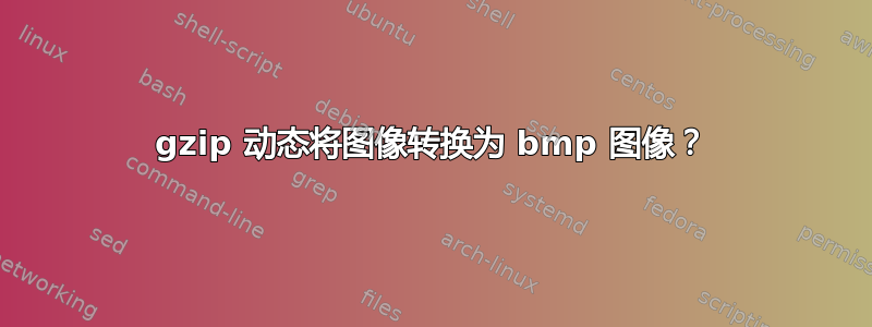 gzip 动态将图像转换为 bmp 图像？