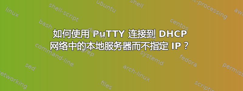 如何使用 PuTTY 连接到 DHCP 网络中的本地服务器而不指定 IP？