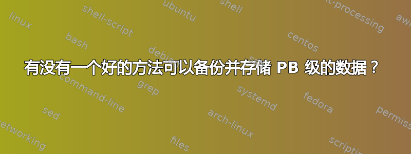 有没有一个好的方法可以备份并存储 PB 级的数据？