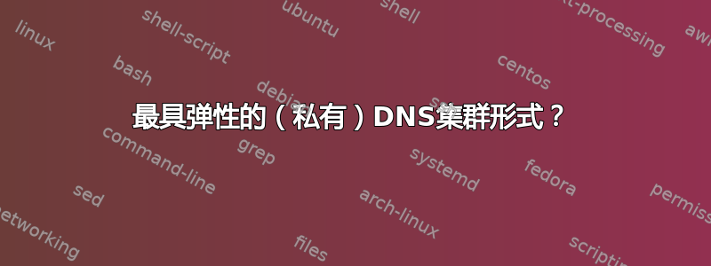 最具弹性的（私有）DNS集群形式？