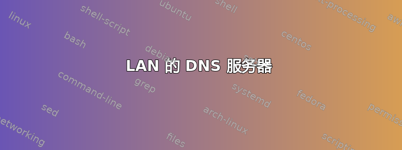 LAN 的 DNS 服务器