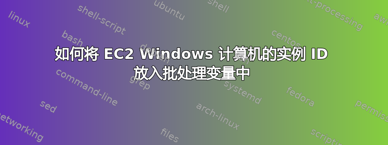 如何将 EC2 Windows 计算机的实例 ID 放入批处理变量中