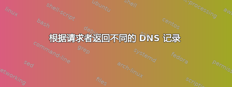 根据请求者返回不同的 DNS 记录