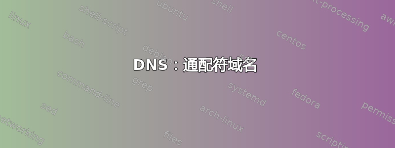 DNS：通配符域名