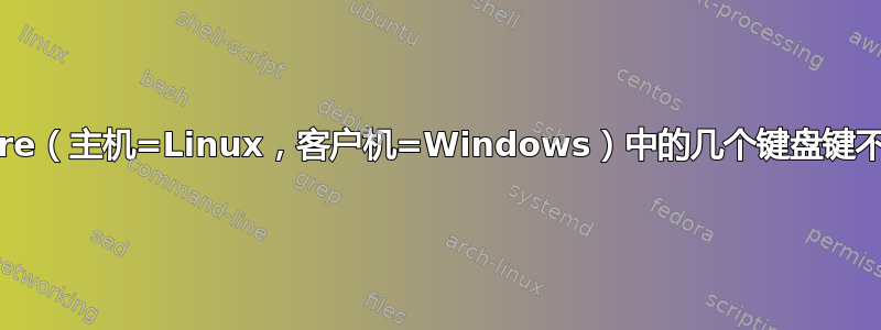 VMWare（主机=Linux，客户机=Windows）中的几个键盘键不起作用