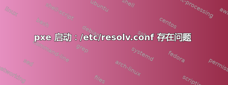 pxe 启动：/etc/resolv.conf 存在问题