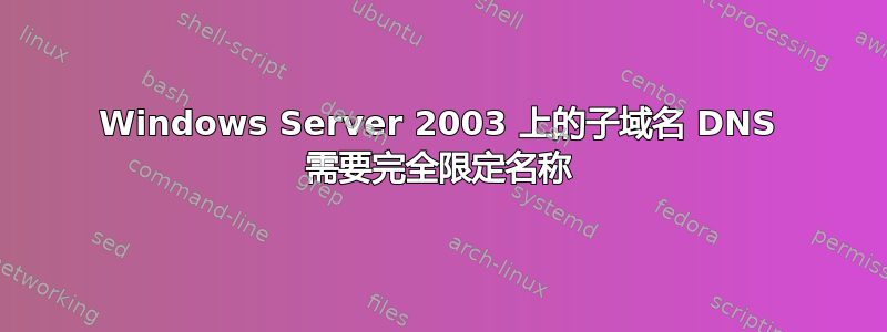 Windows Server 2003 上的子域名 DNS 需要完全限定名称