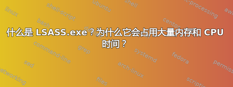 什么是 LSASS.exe？为什么它会占用大量内存和 CPU 时间？