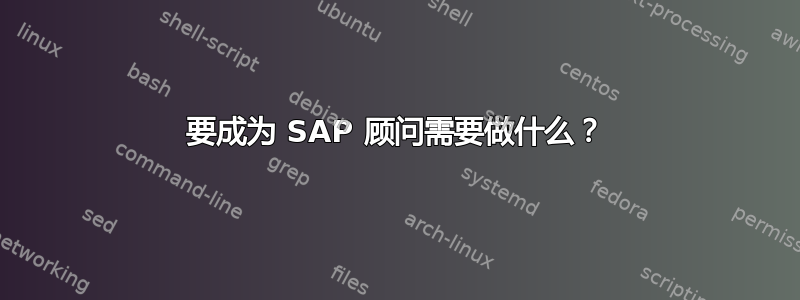 要成为 SAP 顾问需要做什么？